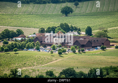 Anzeigen von Denbies Wine Estate, Dorking, Surrey, England, UK. Von Box Hill genommen. Stockfoto