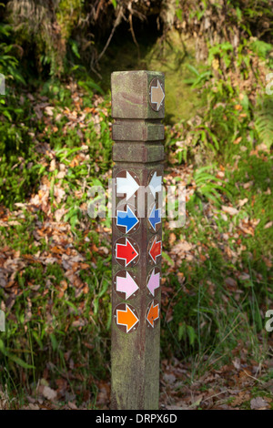 Zu Fuß auszuschildern Post im Lugduff Wald, Glendalough, Wicklow Mountains Nationalpark, County Wicklow, Ireland. Stockfoto