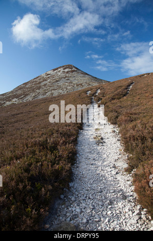 Der Weg auf den nördlichen Hängen des großen Sugar Loaf, Wicklow Mountains, County Wicklow, Ireland. Stockfoto