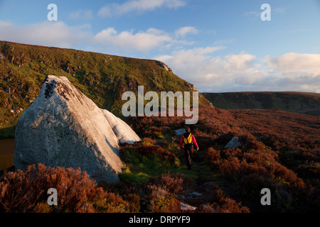 Morgen Walker neben Lough Bray Obere, Kippure Berg, Wicklow Mountains National Park, County Wicklow, Irland. Stockfoto