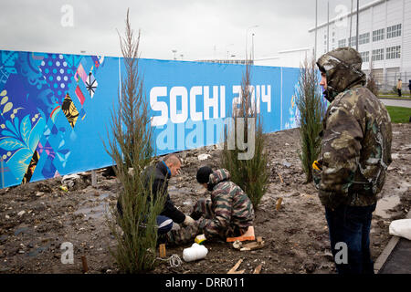 Sotschi, Russland. 31. Januar 2014. Arbeiter Pflanzen und Büsche am Straßenrand neben den Olympischen Park in Sotschi, Russland, 31. Januar 2014 zu beheben. Die Olympischen Winterspiele 2014 in Sotschi von 07 bis 23. Februar 2014 laufen. Foto: Christian Charisius/Dpa/Alamy Live News Stockfoto