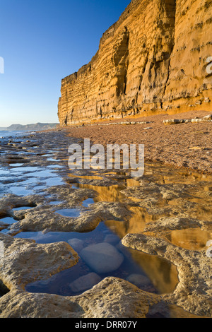 Exponierten Gesimsen und Felsenpools im Bienenstock Beach, Burton Bradstock an der Jurassic Coast, Dorset, England. Stockfoto