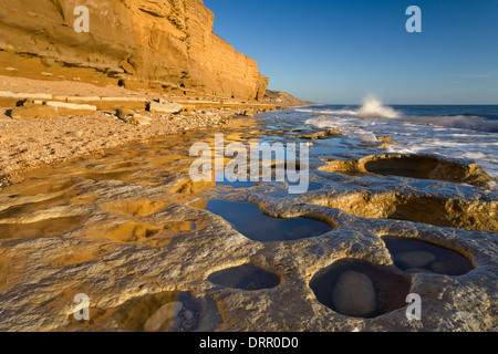 Exponierten Gesimsen und Felsenpools im Bienenstock Beach, Burton Bradstock an der Jurassic Coast, Dorset, England. Stockfoto