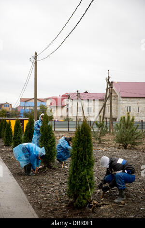 Sotschi, Russland. 31. Januar 2014. Arbeiter Pflanzen und Büsche am Straßenrand neben dem Olympischen Park in Sotschi, Russland, 31. Januar 2014 zu beheben. Die Olympischen Winterspiele 2014 in Sotschi von 07 bis 23. Februar 2014 laufen. Foto: Christian Charisius/Dpa/Alamy Live News Stockfoto