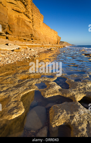 Exponierten Gesimsen und Felsenpools im Bienenstock Beach, Burton Bradstock an der Jurassic Coast, Dorset, England. Stockfoto