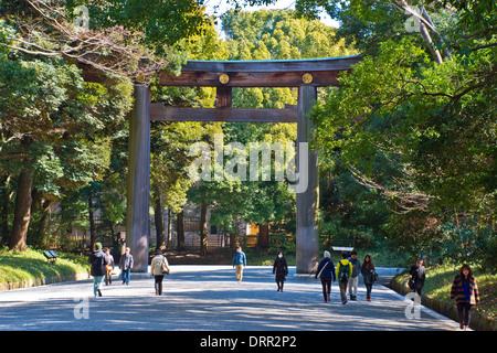 Torii-Tor, Meiji-Schrein, Tokyo, Japan Stockfoto