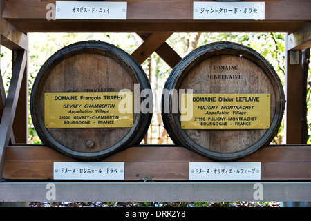 Fässer von gespendeten Bourgogne Wein, Meiji-Schrein, Tokyo, Japan Stockfoto