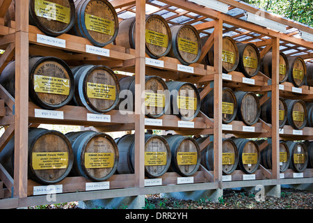 Angebote von gespendeten Bourgogne Wein, Meiji-Schrein, Tokyo, Japan Stockfoto