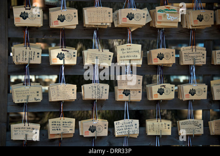 EMA auf Display, Meiji-Schrein, Tokyo, Japan Stockfoto