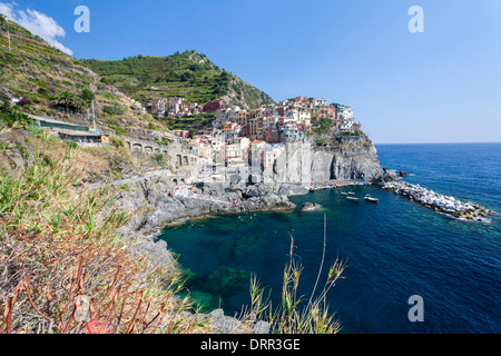 Manarola Cinque Terre Ligurien Italien Stockfoto