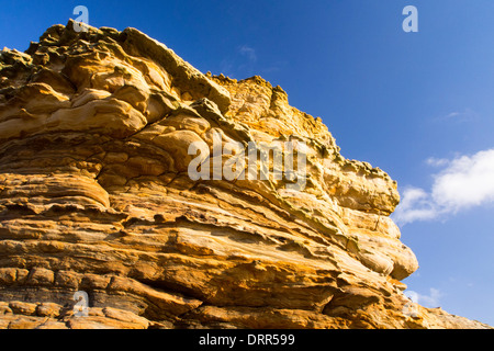 Sedimentäre Klippen in der Nähe von Craster, Northumberland, UK. Stockfoto