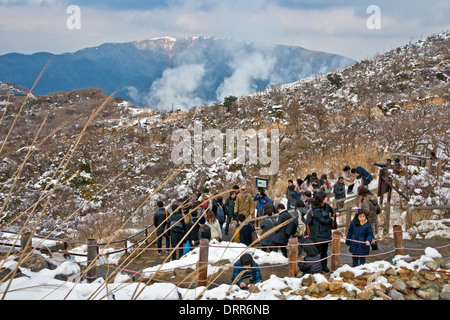 Ins Trail, Hakone Nationalpark, Japan Stockfoto