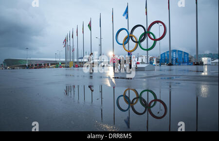 Sotschi, Russland. 31. Januar 2014. Freiwillige posieren für ein Familienfoto unter den Olympischen Ringen im Olympia-Park in Sotschi, Russland, 31. Januar 2014. Die Olympischen Winterspiele 2014 in Sotschi von 07 bis 23. Februar 2014 laufen. Foto: Christian Charisius/Dpa/Alamy Live News Stockfoto