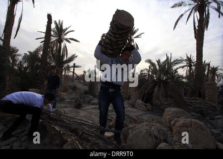Jordan Vally, Westjordanland, Palästinensische Gebiete. 31. Januar 2014. Palästinensische Aktivisten arbeiten auf dem Gelände des alten Dorfes bekannt als Ein Hijleh im Jordan-Tal in der Nähe der West Bank Stadt Jericho, 31. Januar 2014. Hunderte von Palästinensern kündigte heute den Start der "Melh Al-ArdÃ ¢? Â (Salz der Erde) Kampagne durch die Wiederbelebung des Dorfes Ein Hijleh im Jordan-Tal auf dem Gelände der orthodoxen Kirche und St. Gerassimos Kloster. Die Kampagne wird gestartet, in der Weigerung der israelischen Politik, die darauf abzielen, Judaizing und das Jordantal zu annektieren (Credit-Bild: © Issam Rimawi/APA Im Stockfoto