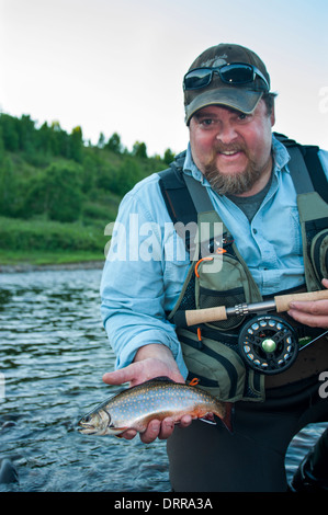 Fischer hält eine kleine Sommer-Bachsaibling gefangen Fliegenfischen in Northern Ontario See Stockfoto