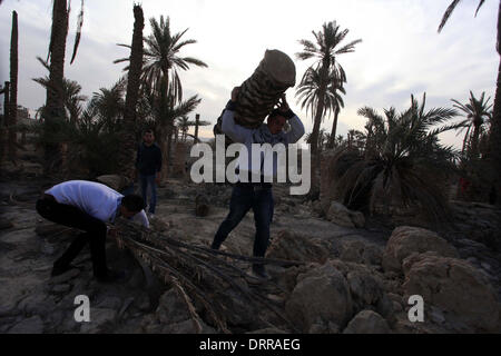 Jordan Vally, Westjordanland, Palästinensische Gebiete. 31. Januar 2014. Palästinensische Aktivisten arbeiten auf dem Gelände des alten Dorfes bekannt als Ein Hijleh im Jordan-Tal in der Nähe der West Bank Stadt Jericho, 31. Januar 2014. Hunderte von Palästinensern kündigte heute den Start der "Melh Al-ArdÃ ¢? Â (Salz der Erde) Kampagne durch die Wiederbelebung des Dorfes Ein Hijleh im Jordan-Tal auf dem Gelände der orthodoxen Kirche und St. Gerassimos Kloster. Die Kampagne wird gestartet, in der Weigerung der israelischen Politik, die darauf abzielen, Judaizing und das Jordantal zu annektieren (Credit-Bild: © Issam Rimawi/APA Im Stockfoto