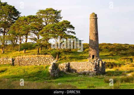 Farbwerken aus dem 19. Jahrhundert verfallenen Schießpulver Fabrik Nationalparks Dartmoor Devon Uk Stockfoto