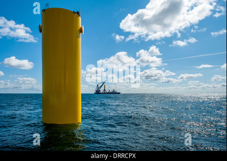 Landschaft -, Unterwasser-, Offshore-, Naturfotograf in den Niederlanden. Stockfoto