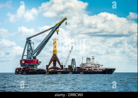 Landschaft -, Unterwasser-, Offshore-, Naturfotograf in den Niederlanden. Stockfoto