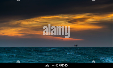 Landschaft -, Unterwasser-, Offshore-, Naturfotograf in den Niederlanden. Stockfoto