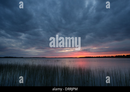 Dramatischer Himmel am See Saadjärv bei Sonnenuntergang. Estland, Europa Stockfoto