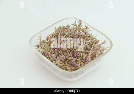 Ökologische heilenden trockene Kraut Blume - Thymian auf der Glasplatte Stockfoto