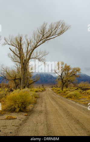 Straße in Manzanar ein WW2 Ära Gefangenenlager, die japanischen Amerikaner Kalifornien Sierras im Hintergrund gehalten Stockfoto