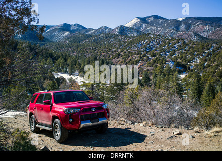 Brandneue 2014 Toyota 4Runner Trail Premium auf Schnee bedeckt 4WD Straße östlich von Salida, Colorado, USA Stockfoto