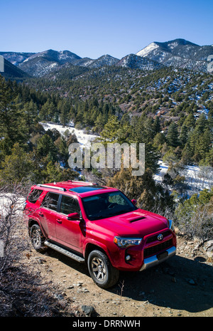 Brandneue 2014 Toyota 4Runner Trail Premium auf Schnee bedeckt 4WD Straße östlich von Salida, Colorado, USA Stockfoto