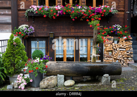 Wassertrog Brunnen und Schweizer Holzhaus im 18. Jahrhundert Brunngasse in Brienz im Berner Oberland, Schweiz Stockfoto