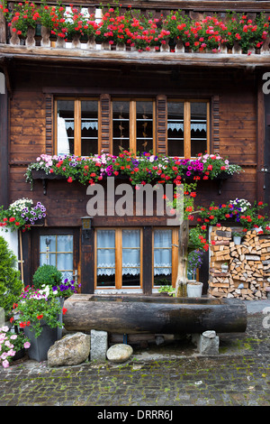 Wassertrog Brunnen und Schweizer Holzhaus im 18. Jahrhundert Brunngasse in Brienz im Berner Oberland, Schweiz Stockfoto