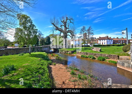 Cannington ist ein Dorf und Zivilgemeinde 3 Meilen (5 km) nordwestlich von Bridgwater in der Sedgemoor Bezirk Somerset Stockfoto