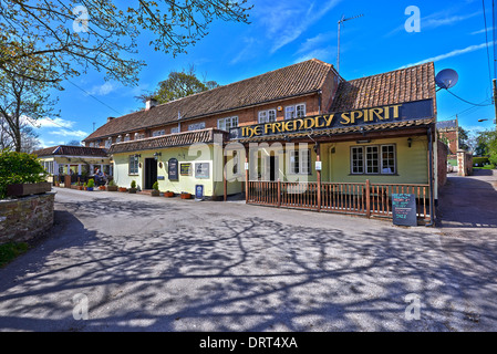 Cannington ist ein Dorf und Zivilgemeinde 3 Meilen (5 km) nordwestlich von Bridgwater in der Sedgemoor Bezirk Somerset Stockfoto