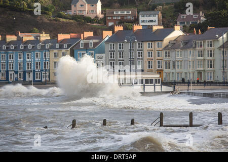 Aberystwyth, Wales, UK 1. Februar 2014. Hohen Springflut bei Aberystwyth, einer kleinen Stadt, die bereits angeschlagen durch den letzten Stürme verursacht riesige Wellen gegen die Promenade und Meer Verteidigung zu brechen. Über 400 Schüler wurden vorsorglich aus ihren Hallen direkt am Meer verlegt. Zum Glück am Samstagmorgen die orkanartigen Winden, befürchtet worden war, nicht bewahrheitet. Die Wellen waren aber immer noch spektakulär. Bildnachweis: atgof.co/Alamy Live News Stockfoto