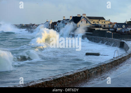 Cobo Bay, Guernsey, Channel Islands. 1. Februar 2014. Hochwasserwarnungen sind für die Westküste von Guernsey und niedriger liegende Gebiete der Insel als weit verbreitete Stürme kombiniert mit außergewöhnlich hohen Gezeiten bringen die Gefahr von Überschwemmungen. Hotels an der Westküste sind auf das Schlimmste vorbereiten, nach ähnliche Bedingungen im Januar schwere Schäden. Foto Credit: Robert Smith/Alamy Live News Stockfoto