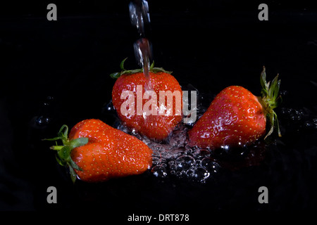 Erdbeeren im fließenden Wasser. Stockfoto