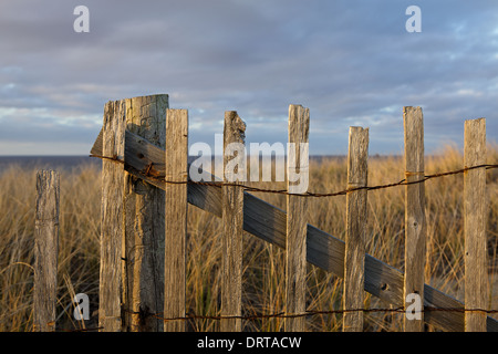 Verwitterten Sie Zaun entlang der Cape Cod National Seashore in Provincetown, Massachusetts Stockfoto