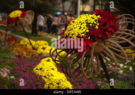 Saigon Blumenschau während TET 2014 Stockfoto