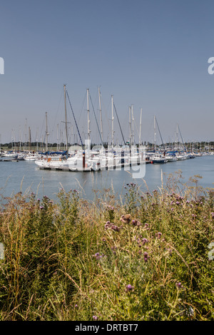 Burnham auf Crouch Marina, Essex England Stockfoto