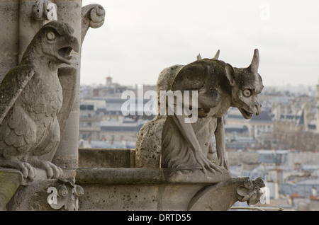 Wasserspeier an der Westfassade der Kathedrale Notre-Dame im vierten Arrondissement, Ile De La Cite, Paris. Frankreich. Stockfoto