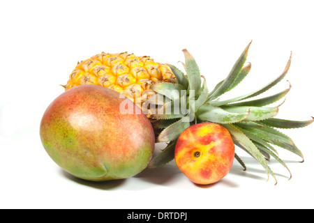 Studioaufnahme von Ananas Nektarine und Reife tropische Mango auf weiß Stockfoto