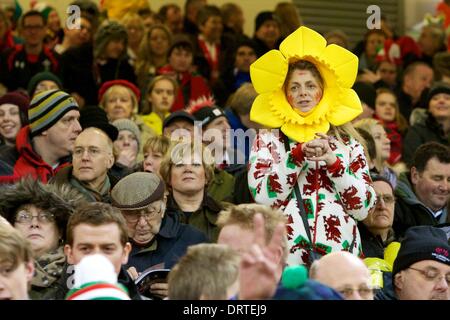 Cardiff, Wales. 1. Februar 2014. Wales-Fan vor dem Six Nations-Spiel zwischen Wales und Italien aus dem Millennium Stadium. Bildnachweis: Aktion Plus Sport/Alamy Live-Nachrichten Stockfoto