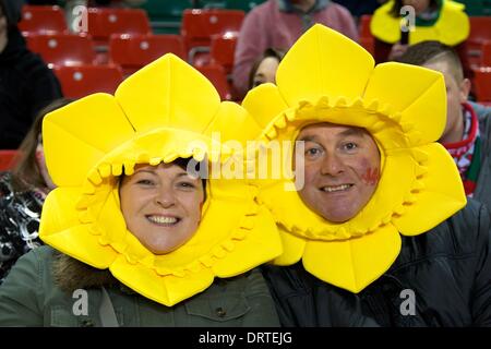 Cardiff, Wales. 1. Februar 2014. Wales-Fans vor dem Six Nations-Spiel zwischen Wales und Italien aus dem Millennium Stadium. Bildnachweis: Aktion Plus Sport/Alamy Live-Nachrichten Stockfoto