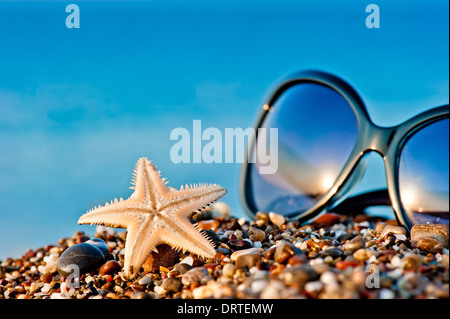 Seesterne und Sonnenbrille am Strand vor dem Meer Stockfoto