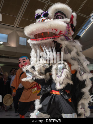 Jahr des Pferdes des chinesischen Kalenders gefeiert in Whitehorse Road Box Hill Victoria Australien- Stockfoto