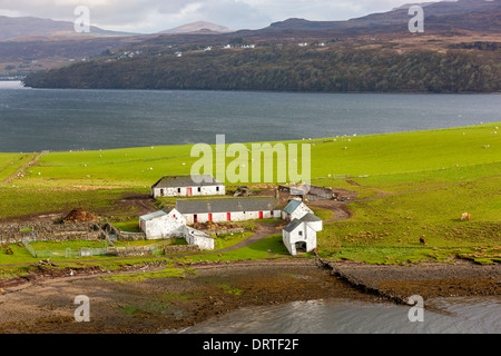 Bauernhöfe in einem Feld Loch Harport, Isle Of Skye, innere Hebriden, Schottland, UK, Europa. Stockfoto