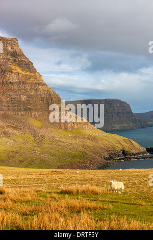 Ein Blick in Richtung Waterstein Head und Ramasaig Cliffs, Moonen Bay, Isle Of Skye, innere Hebriden, Schottland, UK, Europa. Stockfoto