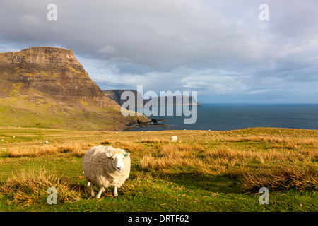 Ein Blick in Richtung Waterstein Head und Ramasaig Cliffs, Moonen Bay, Isle Of Skye, innere Hebriden, Schottland, UK, Europa. Stockfoto