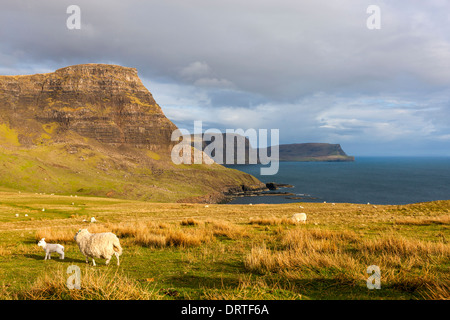 Ein Blick in Richtung Waterstein Head und Ramasaig Cliffs, Moonen Bay, Isle Of Skye, innere Hebriden, Schottland, UK, Europa. Stockfoto