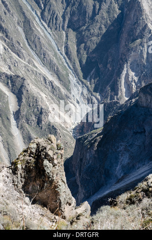 Colca Canyon. Anden. Arequipa in Peru. Stockfoto